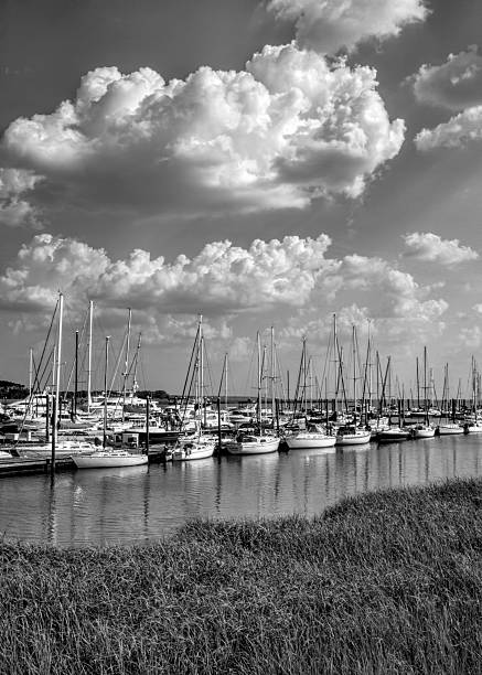 istock Saint Simons Island Marina Black and White 495774936