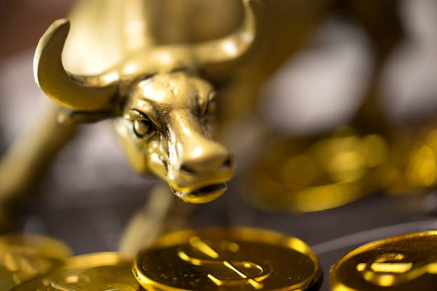 Golden bull shot of a golden bull on top of coins bull market stock pictures, royalty-free photos & images