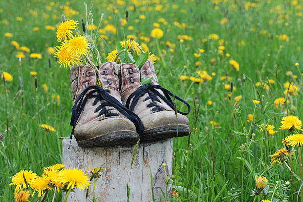 deportes en la primavera en las montañas - berglandschaft fotografías e imágenes de stock