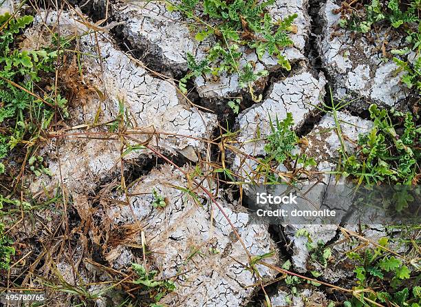 Foto de Crack De Lama e mais fotos de stock de Abstrato - Abstrato, Ajardinado, Antigo