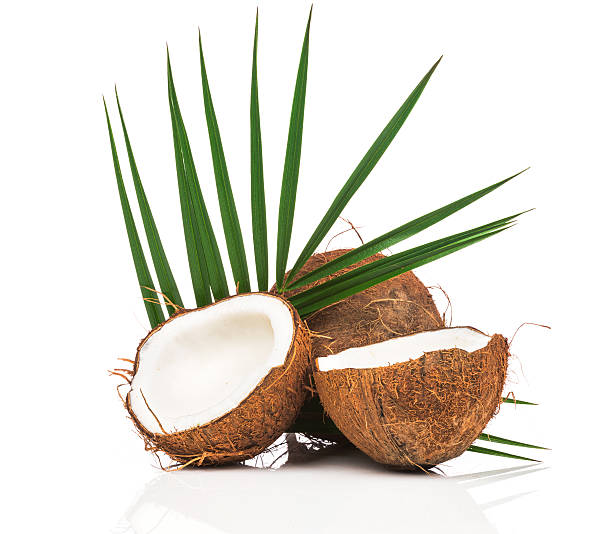 Coconut with green leaves stock photo