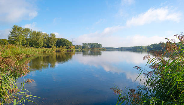 istock Shore of a lake below a blue cloudy sky 495781314