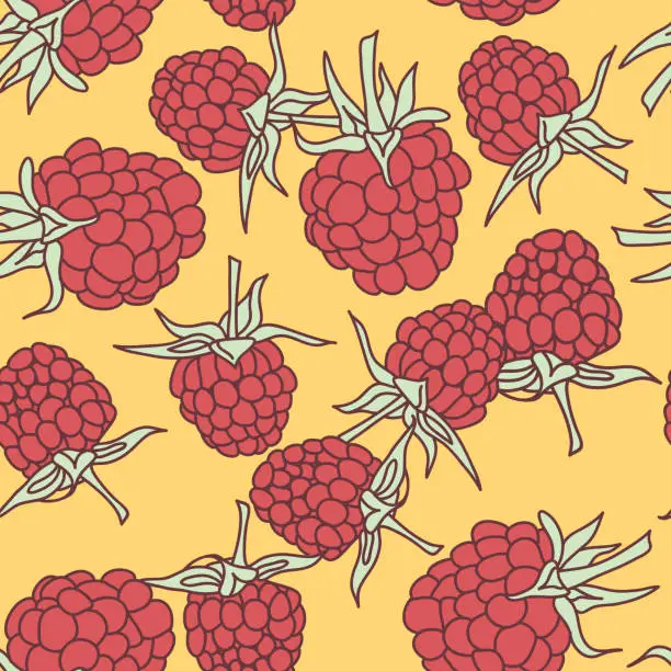 Vector illustration of ripe raspberry seamless pettern  isolated on oranje background. Sketch, hand-drawn.