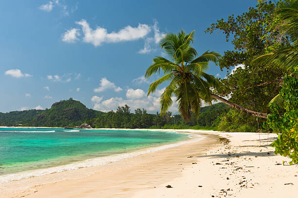 istock Tropical beach at Mahe island Seychelles 495781630
