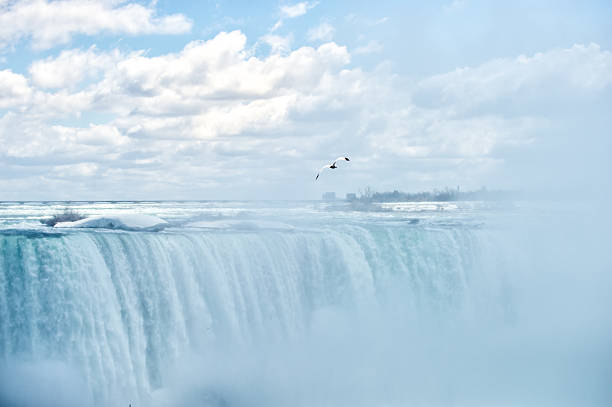 istock Niagara Falls - sea gull soaring in heavy mist 495782613