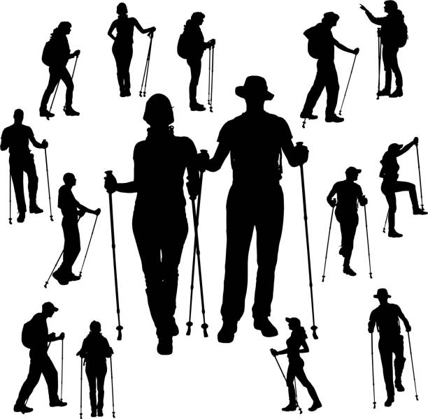 Vector silhouette of people. Vector silhouette of people with Nordic walking. northern european descent stock illustrations