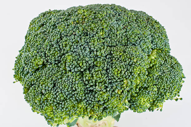 Broccoli top detail stock photo