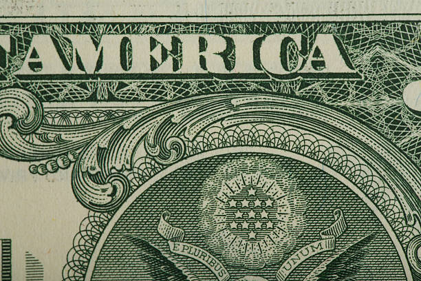 istock macro of US dollar money banknote 495784762