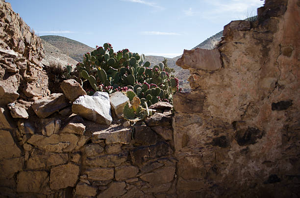 istock Ruins and nopals 495784797