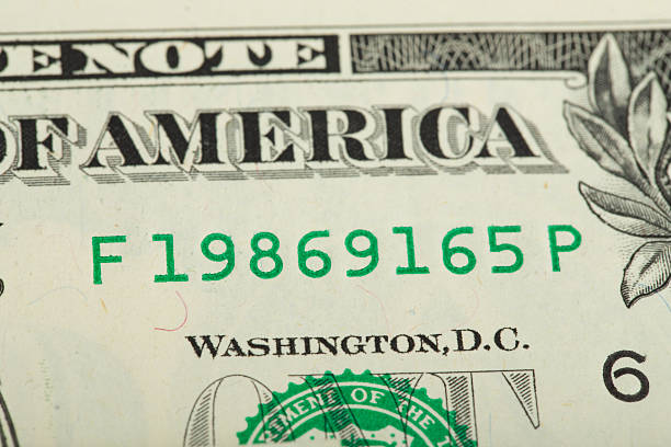 istock macro of US dollar money banknote 495784934
