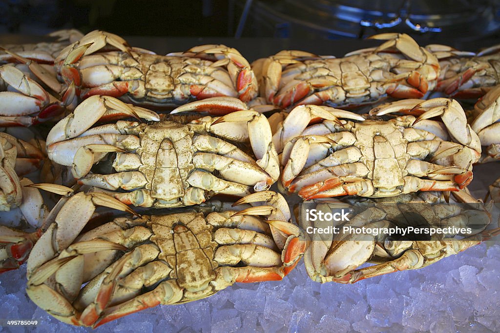 Fresh Dungeness Crab Stock Photo - Download Image Now - City of