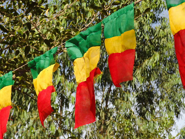 istock Colorful Flags of Mali, Africa 495785219