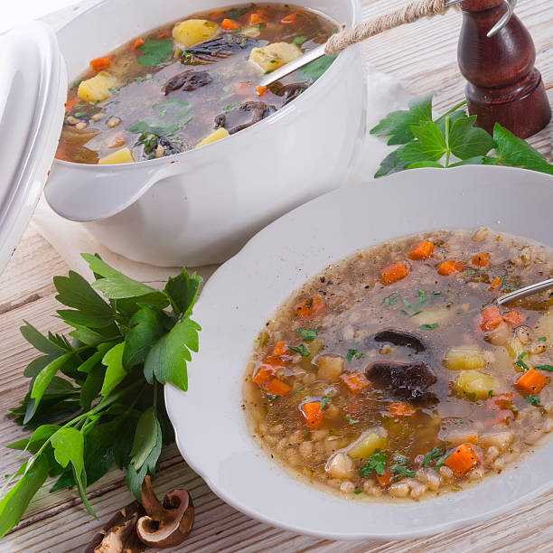 krupnik-  polaco sopa de cebada mondada - vegetable barley soup fotografías e imágenes de stock