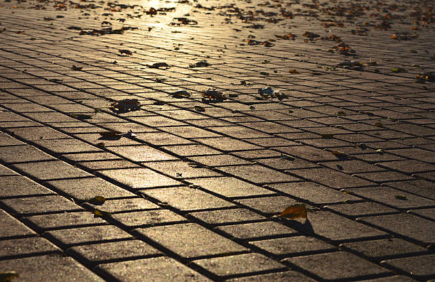 istock Yellow and orange leaves on the ground, background 495799054