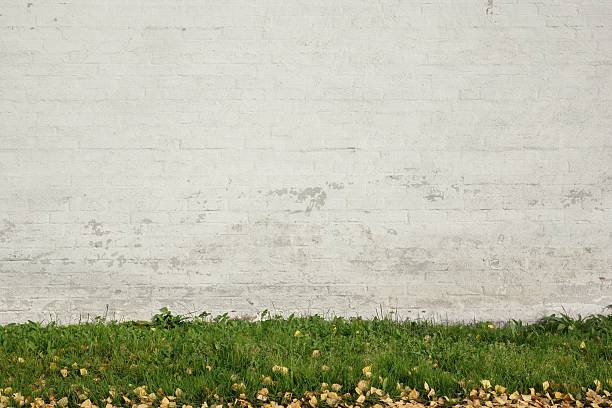 Old White Brick Painted Wall Abd Green Grass Background stock photo