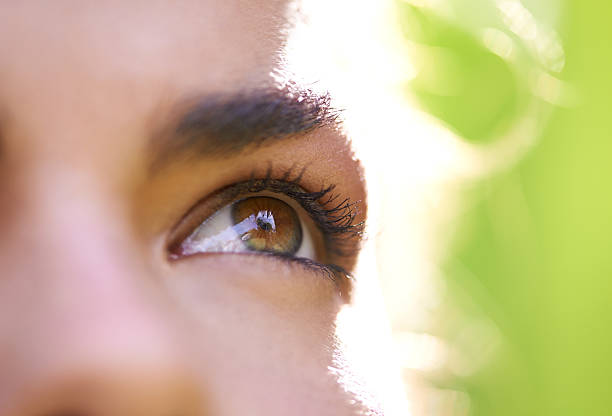 istock Visions of beauty 495800660