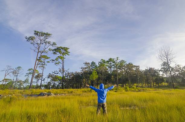 istock Man in a green field 495803242