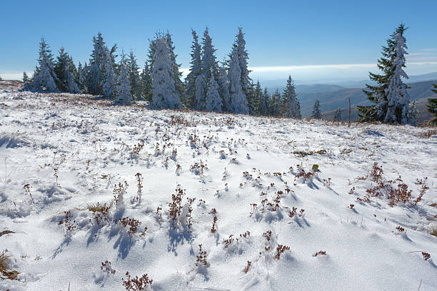 istock First snow in mountain area at sunny day 495807360