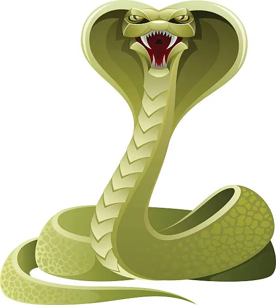 Vector illustration of Angry snake