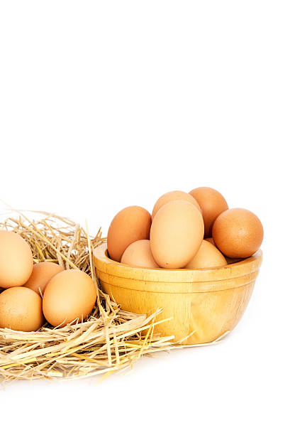 egg, pollo huevos en una canasta y un tazón - eggs farm basket dairy farm fotografías e imágenes de stock