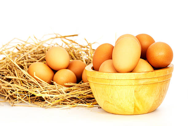 egg, pollo huevos en una canasta y un tazón - eggs farm basket dairy farm fotografías e imágenes de stock