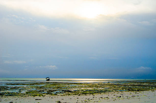 Beach Zanzibar stock photo