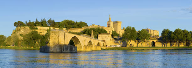 istock Panorama of Avignon 495810300