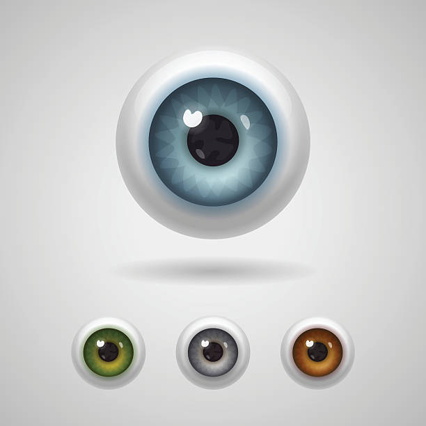 Globo ocular com grande irises - ilustração de arte vetorial
