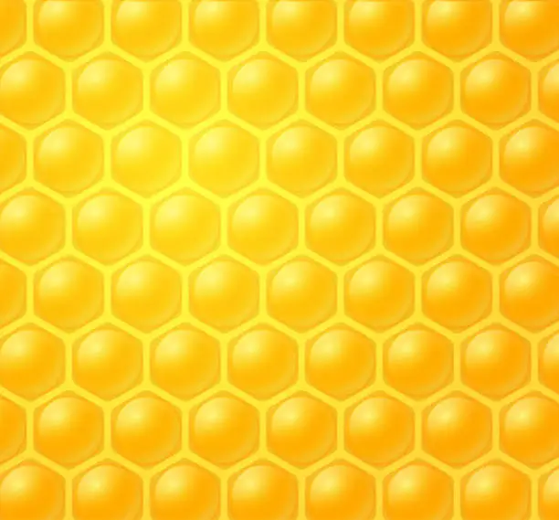 Vector illustration of honey making in honeycombs