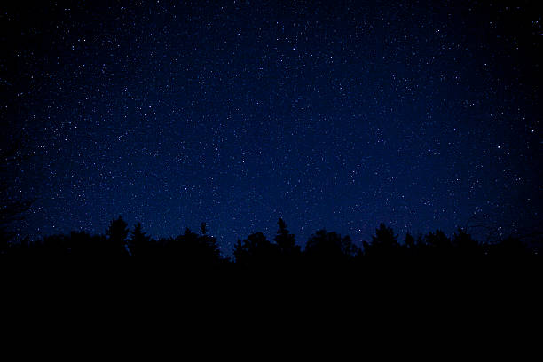 Acadia National Park with night stars.