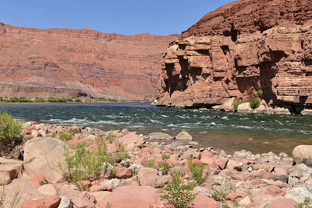 istock Colorado River at Lee's Ferry 495811663