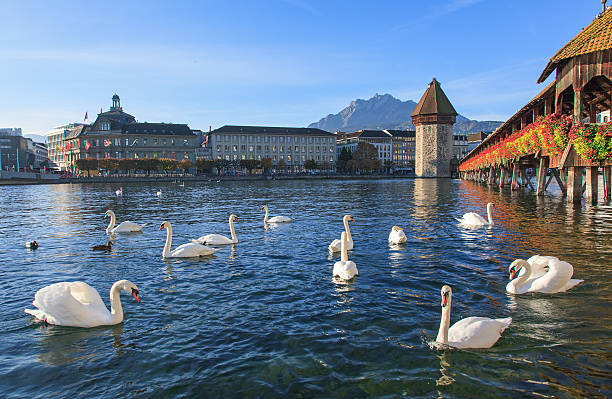 istock Lucerne, early morning 495811867