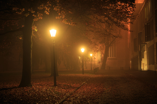 Streetlights in a park on a foggy night in autumn. Shallow D.O.F., long exposure.