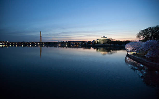 istock Sunrise at the Tidal Basin 495813011