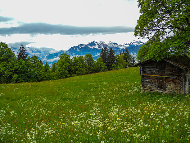 istock House in the mountains 495814241