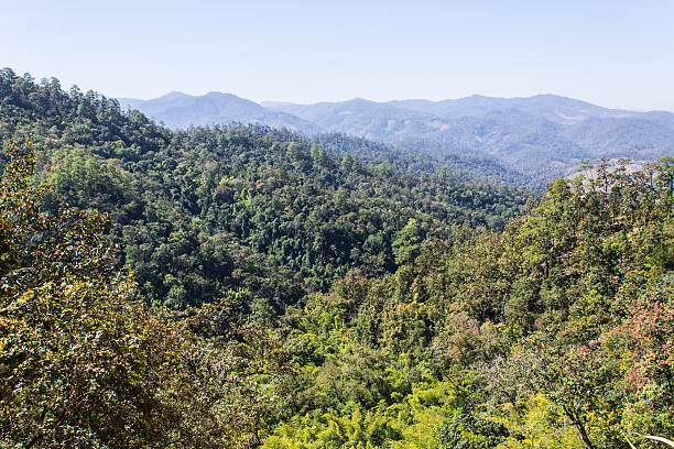 istock View from Mountain, Pha Daeng National Park in Chiangmai Thailand 495814953