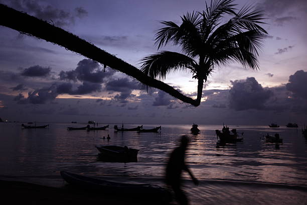 The beach of Hat Sai Ri on the island of Ko Tao in the Gulf of Thailand in the southwest of Thailand in South East Asia.