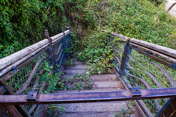 istock Overgrown stairs lead to nowhere 495816499