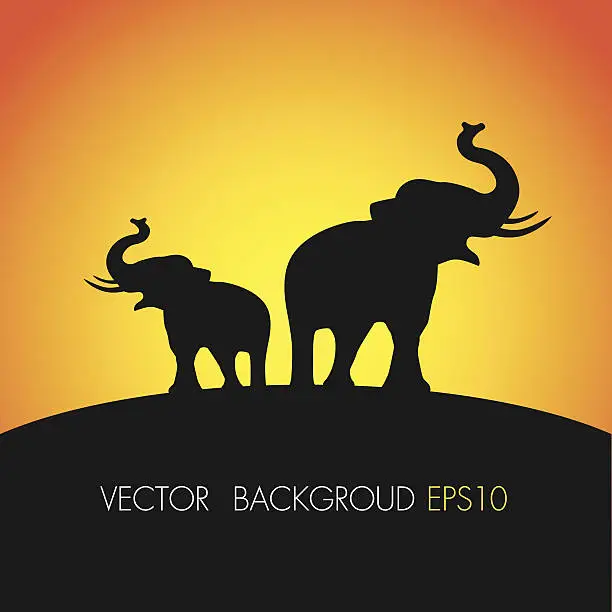 Vector illustration of Silhouettes of twin elephants  - Vector