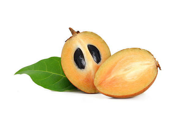 istock fresh sapodilla with leaves isolated on white background 495827950