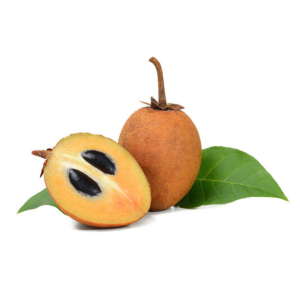 istock fresh sapodilla with leaves isolated on white background 495828188