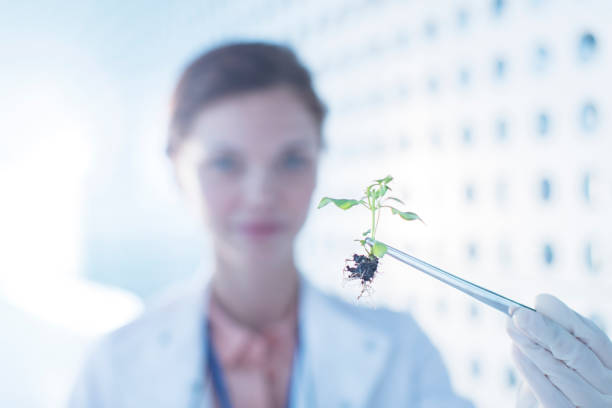 istock Botanist holding plant with tweezers 495828641