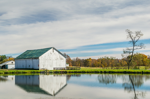 This is a photograph of a barn and its reflection in a pond.  The pond is across the road from the Malabar Farm restaurant near Loudonville, Ohio.  This photograph was taken on October 25, 2015 at the height of the autumn colors.