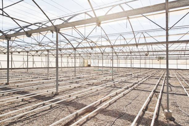 istock Irrigation pipes in empty greenhouse 495829097