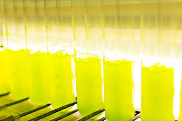 istock Close up of green liquid in test tubes 495829199