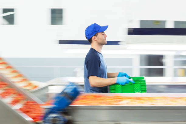 istock Worker carrying crate in food processing plant 495829579