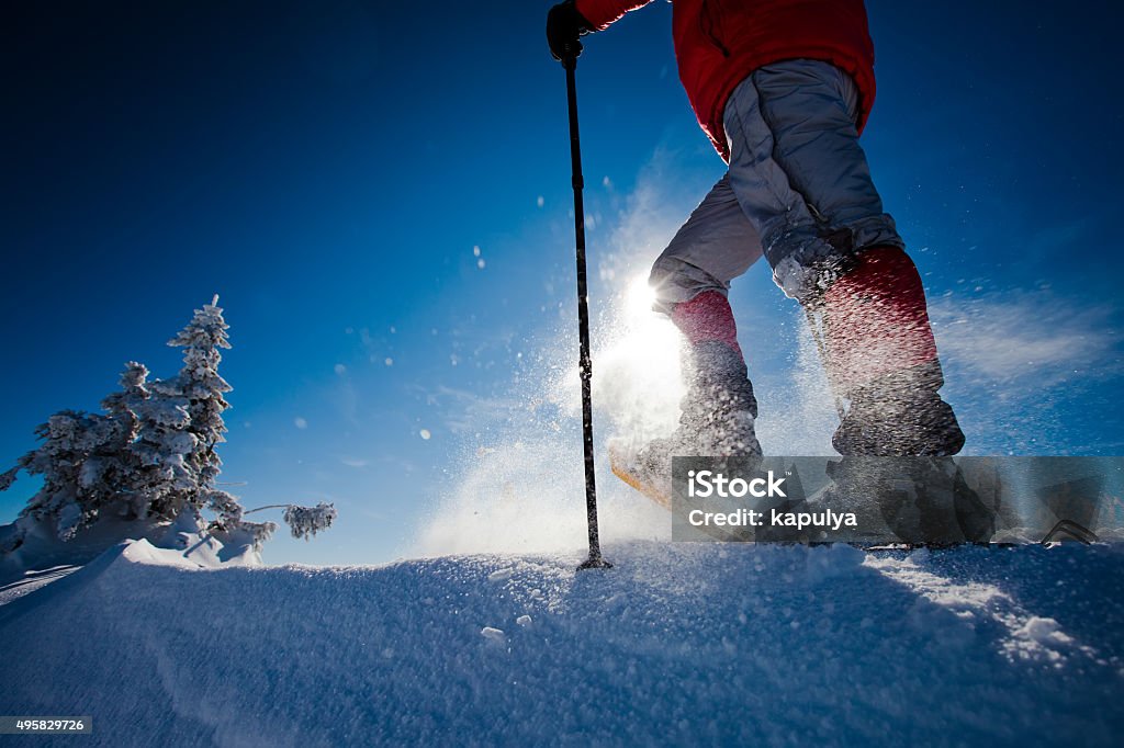 Hiker in winter mountains 2015 Stock Photo