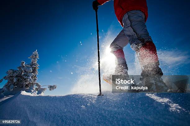 Hiker In Winter Mountains Stock Photo - Download Image Now - 2015, Activity, Adult