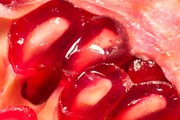 istock Macro Close-Up of a Ripe Succulent Pomegranate 495832200