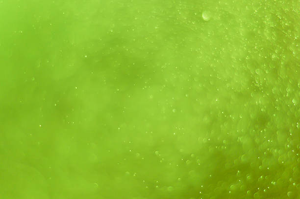 istock green Background formed by water droplets, a beautiful pattern. 495832460